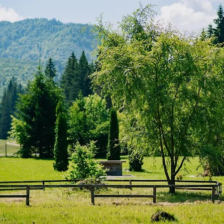 Valea Zanelor Κάμπινγκ Κοβάσνα